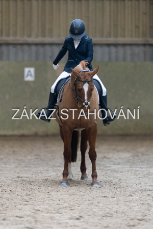 ZH1 hobby (1266).JPG