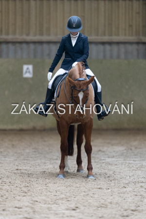 ZH1 hobby (1269).JPG