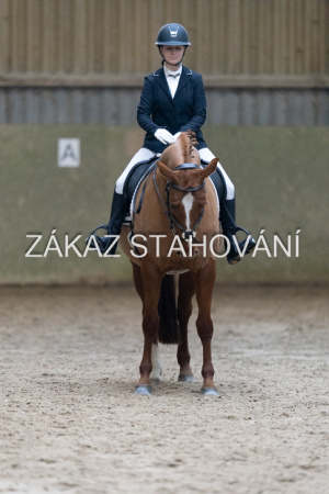 ZH1 hobby (1270).JPG