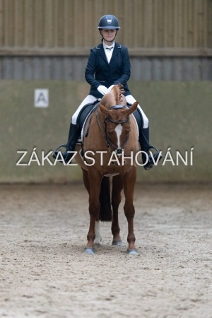 ZH1 hobby (1271).JPG