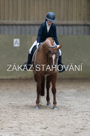 ZH1 hobby (1272).JPG