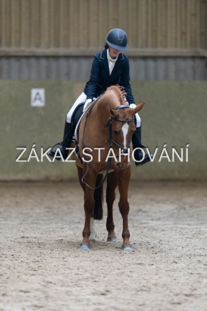 ZH1 hobby (1273).JPG