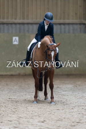 ZH1 hobby (1274).JPG