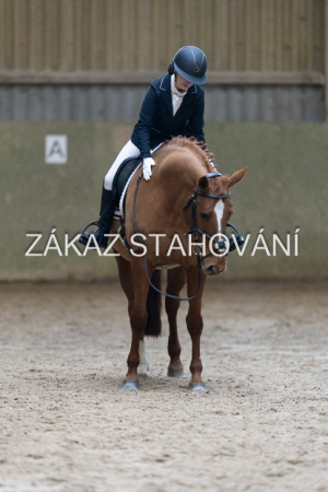 ZH1 hobby (1276).JPG