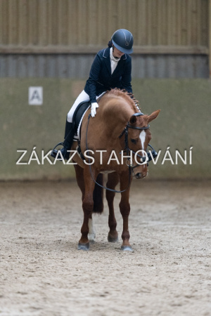 ZH1 hobby (1277).JPG