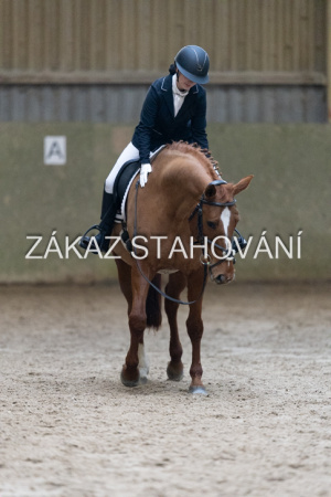 ZH1 hobby (1278).JPG