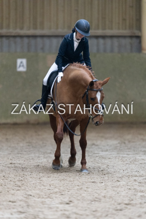 ZH1 hobby (1280).JPG