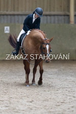 ZH1 hobby (1281).JPG