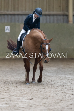 ZH1 hobby (1282).JPG