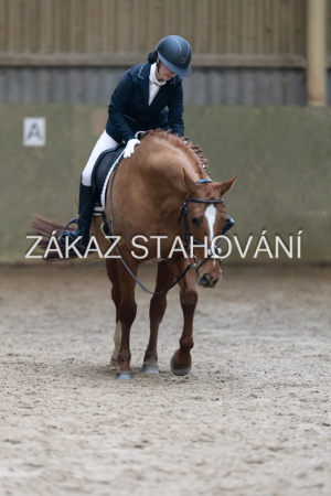 ZH1 hobby (1283).JPG