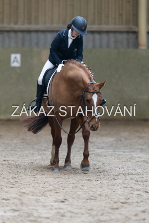 ZH1 hobby (1284).JPG