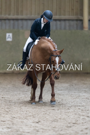 ZH1 hobby (1285).JPG