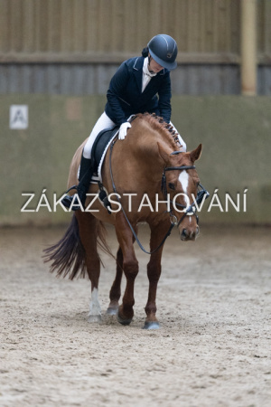 ZH1 hobby (1286).JPG