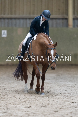 ZH1 hobby (1287).JPG