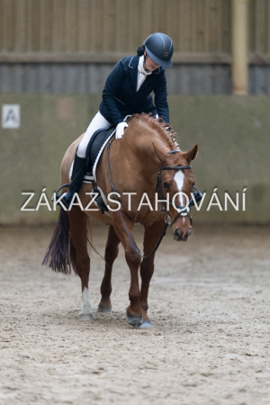 ZH1 hobby (1288).JPG