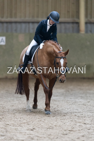 ZH1 hobby (1289).JPG