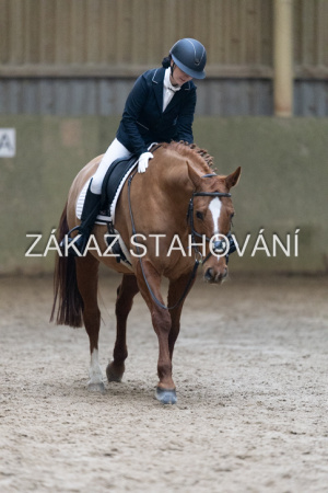 ZH1 hobby (1290).JPG