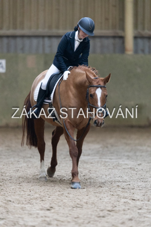 ZH1 hobby (1291).JPG