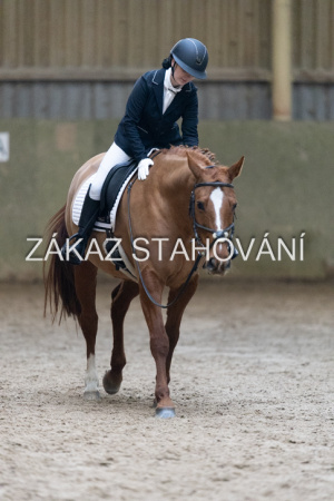 ZH1 hobby (1292).JPG