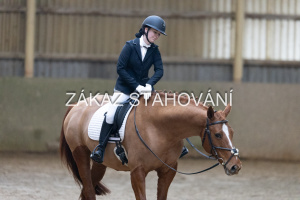 ZH1 hobby (1293).JPG