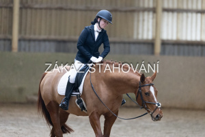 ZH1 hobby (1294).JPG