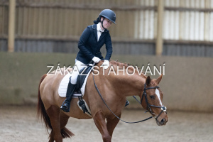 ZH1 hobby (1295).JPG