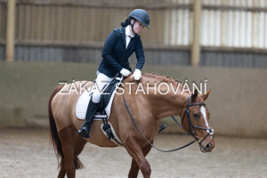 ZH1 hobby (1296).JPG