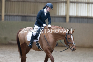 ZH1 hobby (1297).JPG