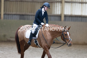 ZH1 hobby (1298).JPG