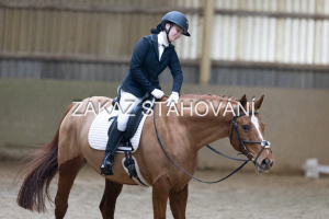 ZH1 hobby (1299).JPG