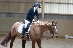 ZH1 hobby (1300).JPG