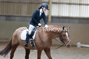 ZH1 hobby (1301).JPG