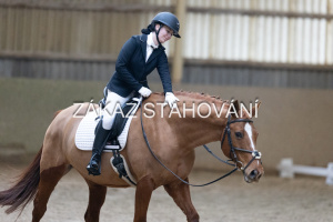 ZH1 hobby (1302).JPG