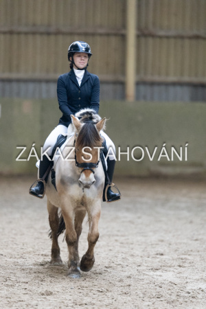 ZH1 hobby (1303).JPG