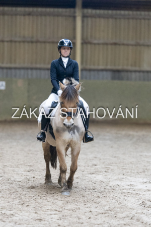 ZH1 hobby (1304).JPG