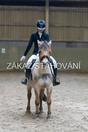 ZH1 hobby (1305).JPG