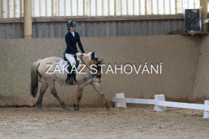 ZH1 hobby (1306).JPG