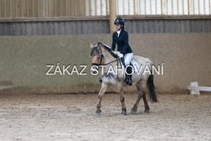 ZH1 hobby (1307).JPG