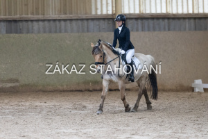 ZH1 hobby (1308).JPG