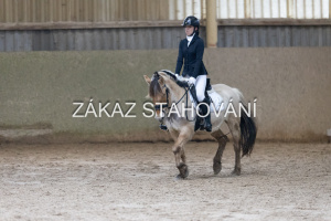 ZH1 hobby (1309).JPG