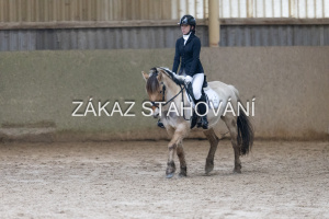 ZH1 hobby (1310).JPG