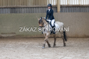 ZH1 hobby (1311).JPG