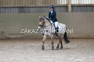 ZH1 hobby (1312).JPG