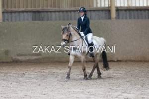 ZH1 hobby (1313).JPG