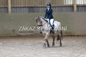 ZH1 hobby (1314).JPG