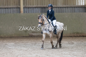 ZH1 hobby (1315).JPG