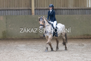 ZH1 hobby (1317).JPG