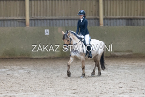 ZH1 hobby (1318).JPG