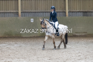 ZH1 hobby (1319).JPG