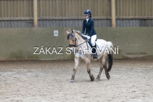 ZH1 hobby (1320).JPG